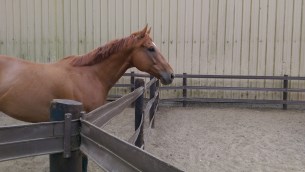 2015-07-20 19.21.35-1