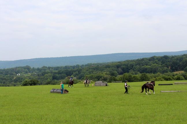 20233052_781903221990769_2954012128485711678_o